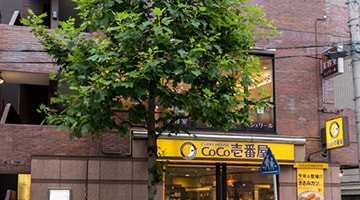 COCO壱番館の2階が店舗です